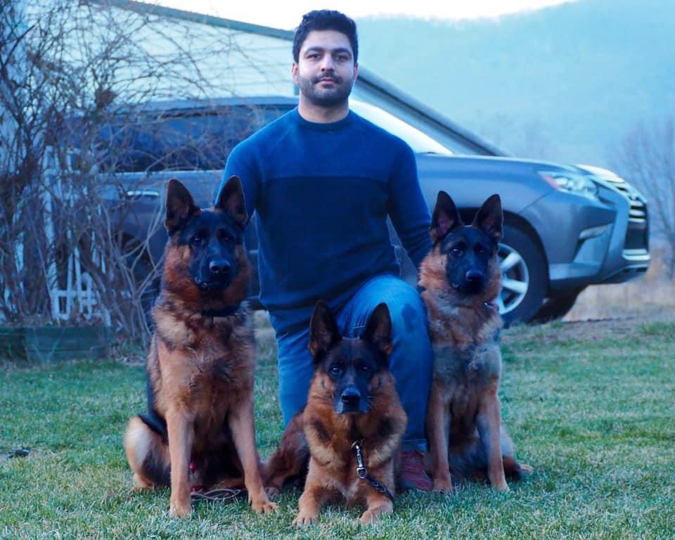 Personal Protection Dogs, German Shepherds for Sale