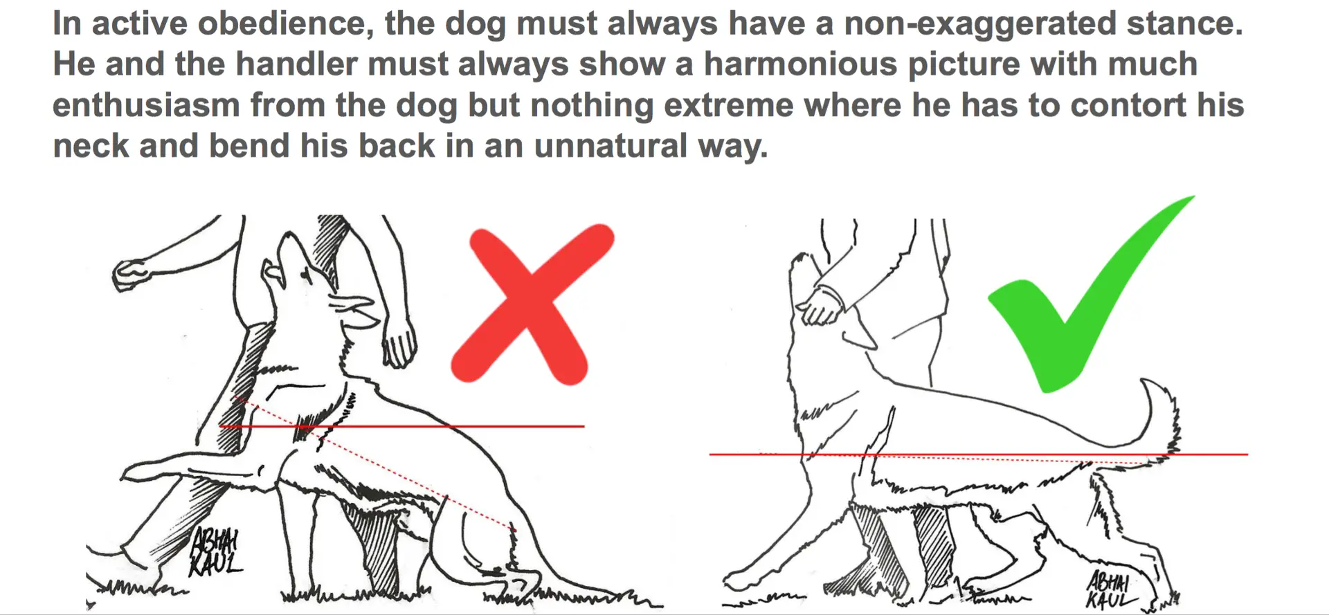 Evaluating Breed-Specific Heeling in IGP