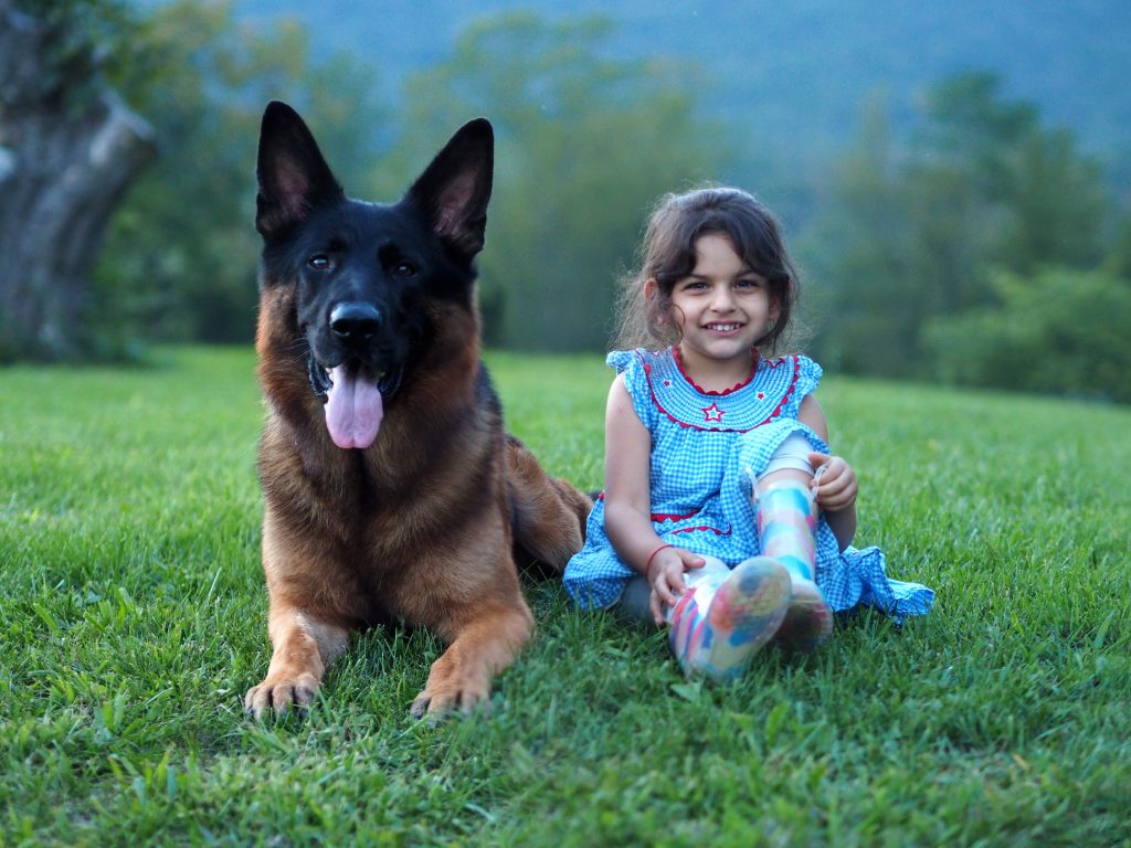german shepherd and girl