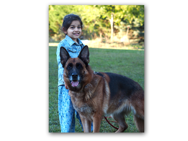german shepherds with kids, red black german shepherd female, show line german shepherd female with young girl