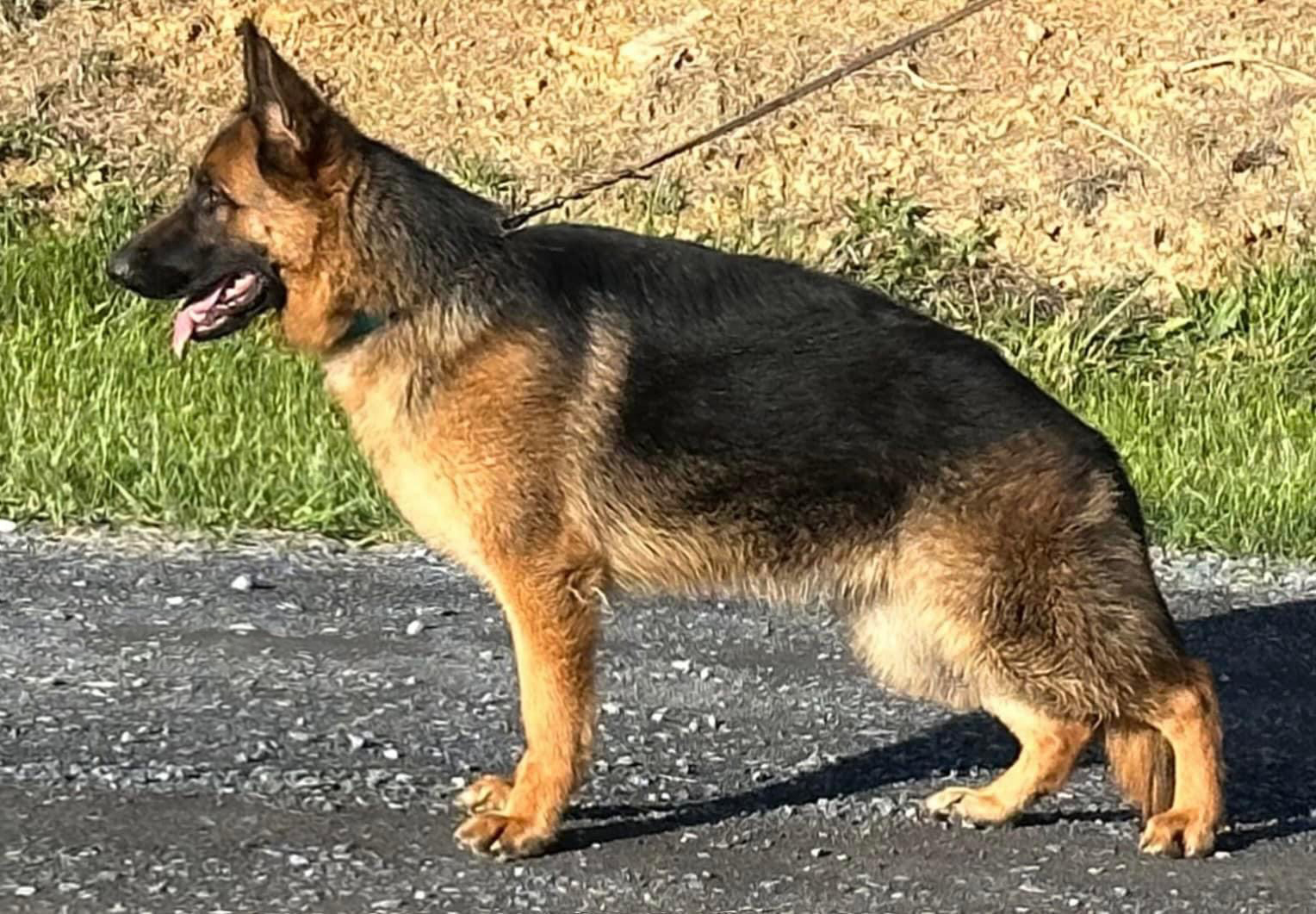 Yahoo at 9 months