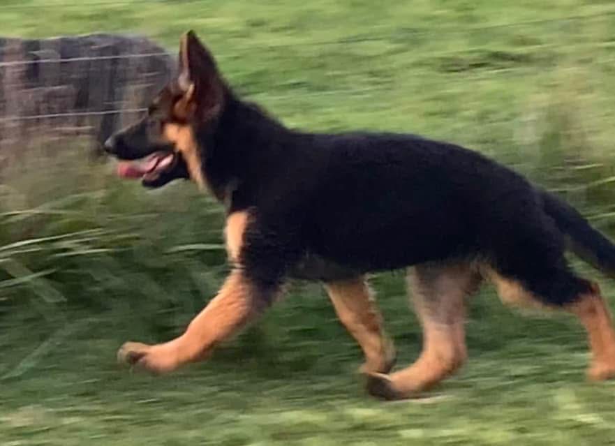 Yahoo at 13 weeks