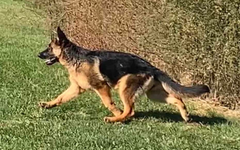 Yahoo at 14 weeks