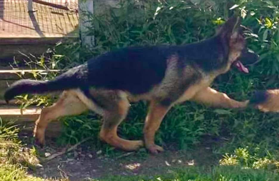 Yahoo showing her extension