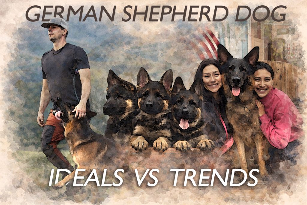 watercolor style montage of ideal german shepherd type featuring a heeling adult male, three puppies and am adult german shepherd male as a family companion, blended in a pastel cinematic wash.